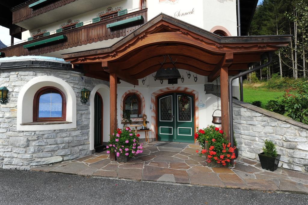 Pension Sonneck ローファー エクステリア 写真